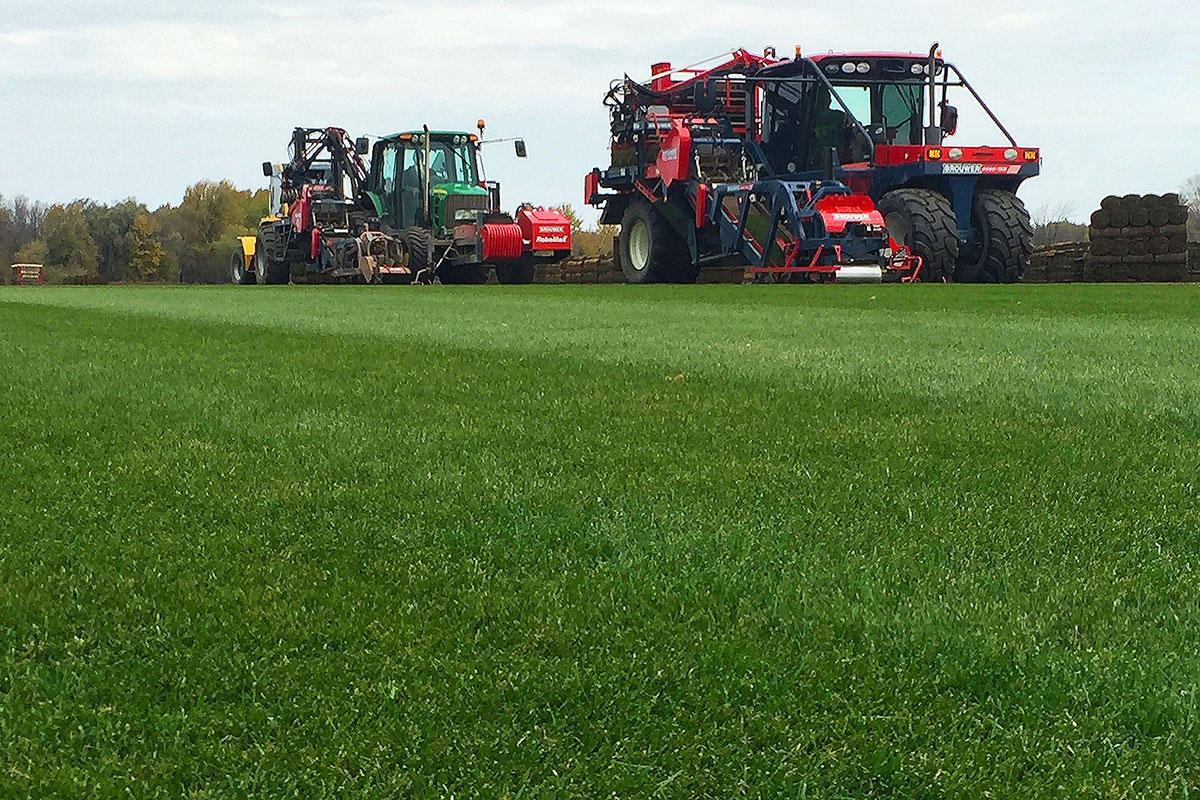 cutting sod