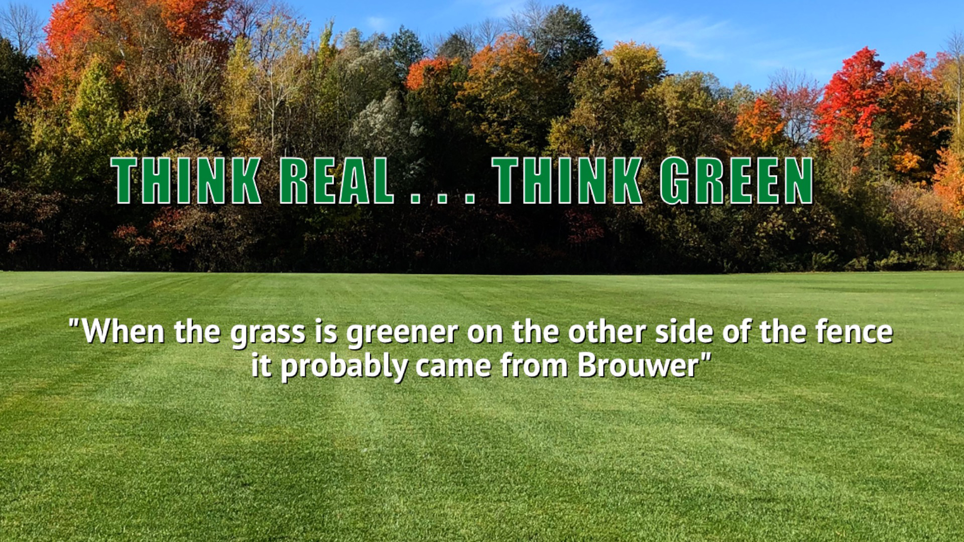 brouwer sod beautiful green lawn