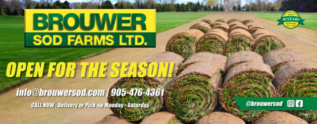ad for the opening of brouwer sod showing sod rolls